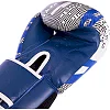 Боксерские перчатки кожаные TWNS VL-2066