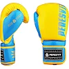 Перчатки для бокса PERESVIT Core Blue Yellow