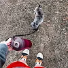 Спортивный шейкер BLENDERBOTTLE Classic Loop 20oz/590мл Plum
