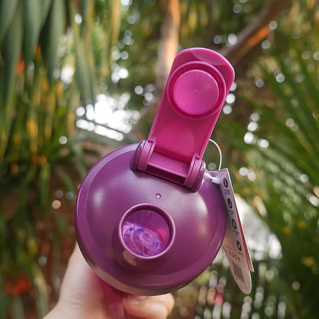Спортивный шейкер BLENDERBOTTLE Classic Loop 20oz/590мл Plum