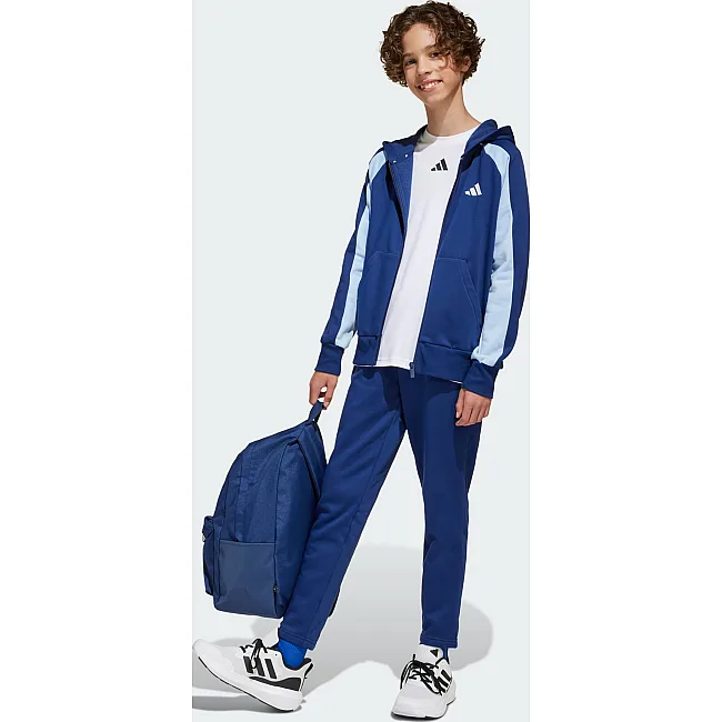 Рюкзак ADIDAS CLSC BARS BP 27,5L синій 15 х 31 х 44 см