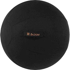 Чехол для фитбола мяча для фитнеса BLOOM LB7129 (Черный)