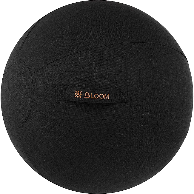 Чехол для фитбола мяча для фитнеса BLOOM LB7129 (Черный)