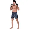 Шорти для кікбоксингу
 FAIRTEX BS1902 BLACK/MINT