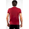 Футболка чоловіча VENUM Classic T Burgundy