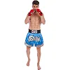 Шорти для кікбоксингу FAIRTEX BS0631