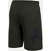 Шорти Under Armour Rival Fleece Exploded Logo Artillery Green