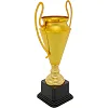 Спортивный кубок
 наградной SP-SPORT
 Favorite 160 см
1C
 38см