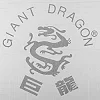 Чехол для сложенного теннисного стола (для улицы OUTDOOR) GIANT DRAGON MT-6567 C003