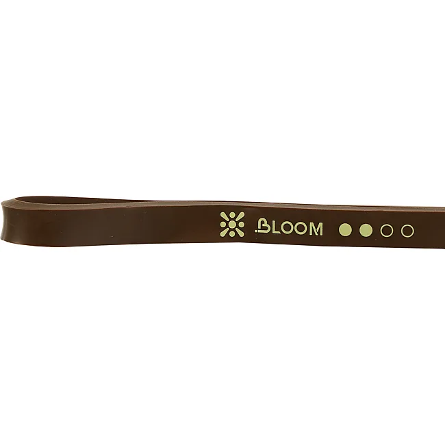 Резина петля для подтягиваний BLOOM SUPER BAND LB7071-2