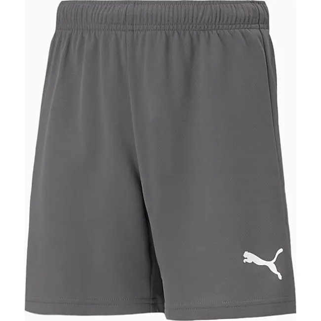 Шорты детские Puma teamRISE Short Jr серый