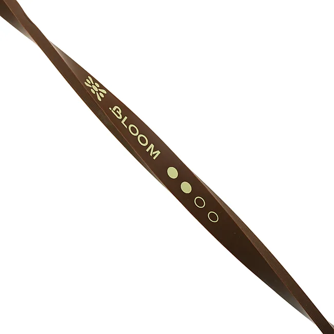 Резина петля для подтягиваний BLOOM SUPER BAND LB7071-2