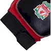 Детские вратарские перчатки
 BALLONSTAR с символикой футбольного клуба LIVERPOOL FB-0028-06