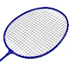 Ракетки для бадминтона в чехле DOUBLE PLAY DP06 (Разные цвета)