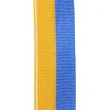 Лента для медали спортивной SP-SPORT
 C-6312