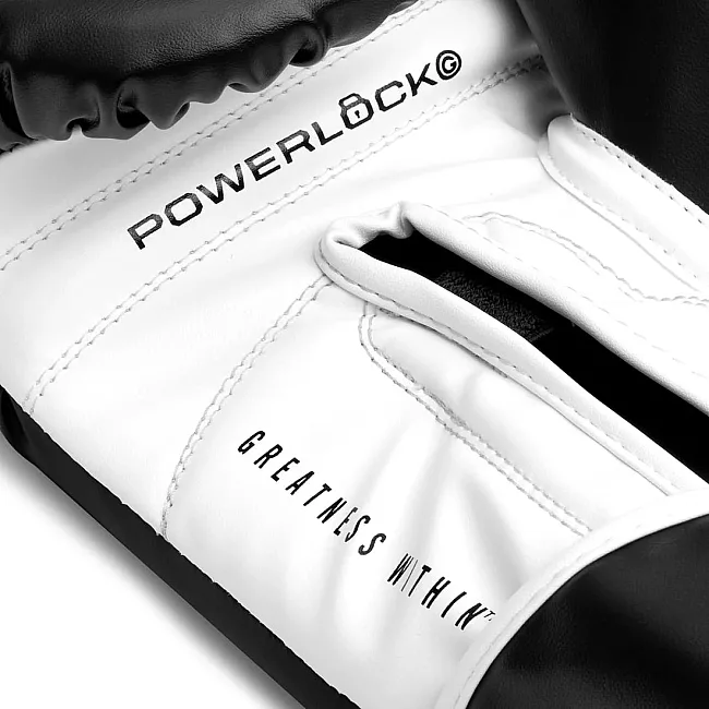 Боксерські рукавиці Everlast POWERLOCK OG TRAINING GLOVES чорний, білий