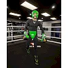 Боксерский шлем TITLE WBC Sparring Green