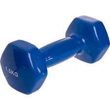 Гантель для фитнеса 1,5кг ZELART TA-2825-1,5 (упаковка 12 шт)