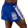 Шорти для кікбоксингу HAYABUSA Icon Kickboxing Blue White