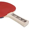 Ракетка для настольного тенниса DONIC CHAMPS LINE LEVEL 150 см
 MT-705116