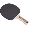 Ракетка для настольного тенниса DONIC CHAMPS LINE LEVEL 150 см
 MT-705116