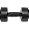 Гантель для фитнеса с PE покрытием ZELART
 TA-4759-3 1шт 3кг (Черный)