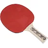 Ракетка для настольного тенниса DONIC CHAMPS LINE LEVEL 150 см
 MT-705116