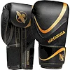 Рукавиці для боксу Hayabusa H5 Black Gold