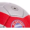 Футбольний м'яч BAYERN MUNCHEN FB-0602 №5