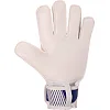 Вратарские перчатки
 BALLONSTAR с символикой футбольного клуба CHEVERLAST
EA FB-0187-8