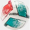 Мяч футбольный Joma DALI II 5