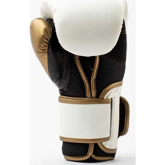 Боксерські рукавиці Everlast POWERLOCK 2R TRAINING GLOVE білий, золотий 10 унцій
