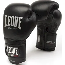 Рукавички для боксу LEONE Professional Black