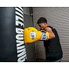 Перчатки для бокса PRO MEX Professional 3.0 Yellow