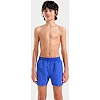 Шорты для плавания Arena BEACH BOXER SOLID R синий (для детей)