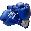 Боксерские перчатки Thai Professional BG3 NEW Синие Боксерские перчатки Thai Professional BG3 NEW Синие