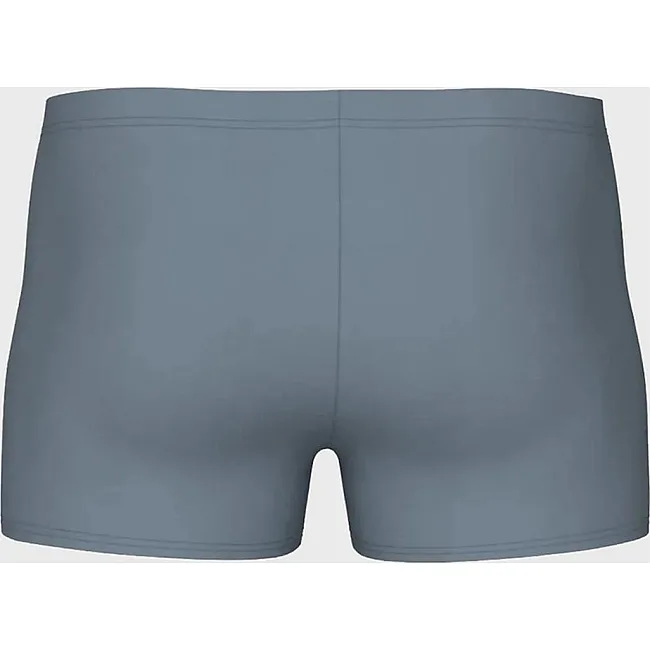 Плавки-шорты для мужчин Arena KIKKO V SWIM SHORT серый