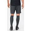 Спортивные шорты manchester 2.0 c104 JAKO 4400-21