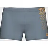 Плавки-шорты для мужчин Arena KIKKO V SWIM SHORT серый