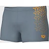 Плавки-шорты для мужчин Arena KIKKO V SWIM SHORT серый