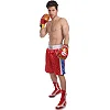 Шорты для бокса
 мужские EVERLAST
 ULI-9014-B (Красный-синий)