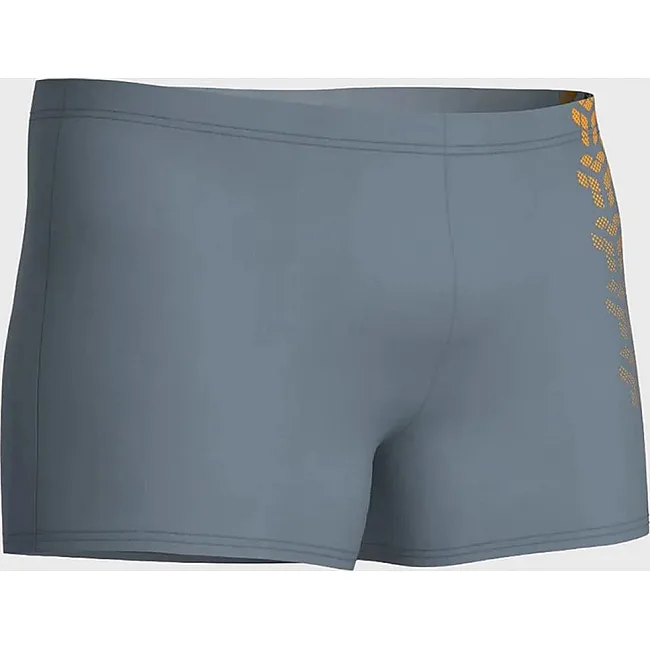Плавки-шорты для мужчин Arena KIKKO V SWIM SHORT серый