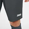Спортивные шорты manchester 2.0 c104 JAKO 4400-21