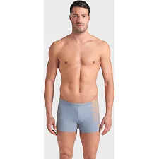 Плавки-шорты для мужчин Arena KIKKO V SWIM SHORT серый