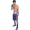 Шорты для бокса
 мужские EVERLAST
 ULI-9014-B (Красный-синий)