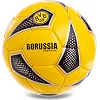 Футбольний м'яч MATSA BORUSSIA DORTMUND FB-0606 №5