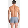 Плавки-шорты для мужчин Arena KIKKO V SWIM SHORT серый