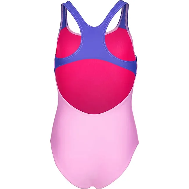 Купальник закрытый для девочек Arena DIM LIGHT SWIMSUIT SWIM PRO BA розовый, фиолетовый