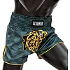 Шорти для Муай Тай FAIRTEX BS1915 Clubber Pacific Green