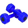 Гантели для фитнеса пластиковые Champion TA-9820-2 2шт 2кг (Синий)